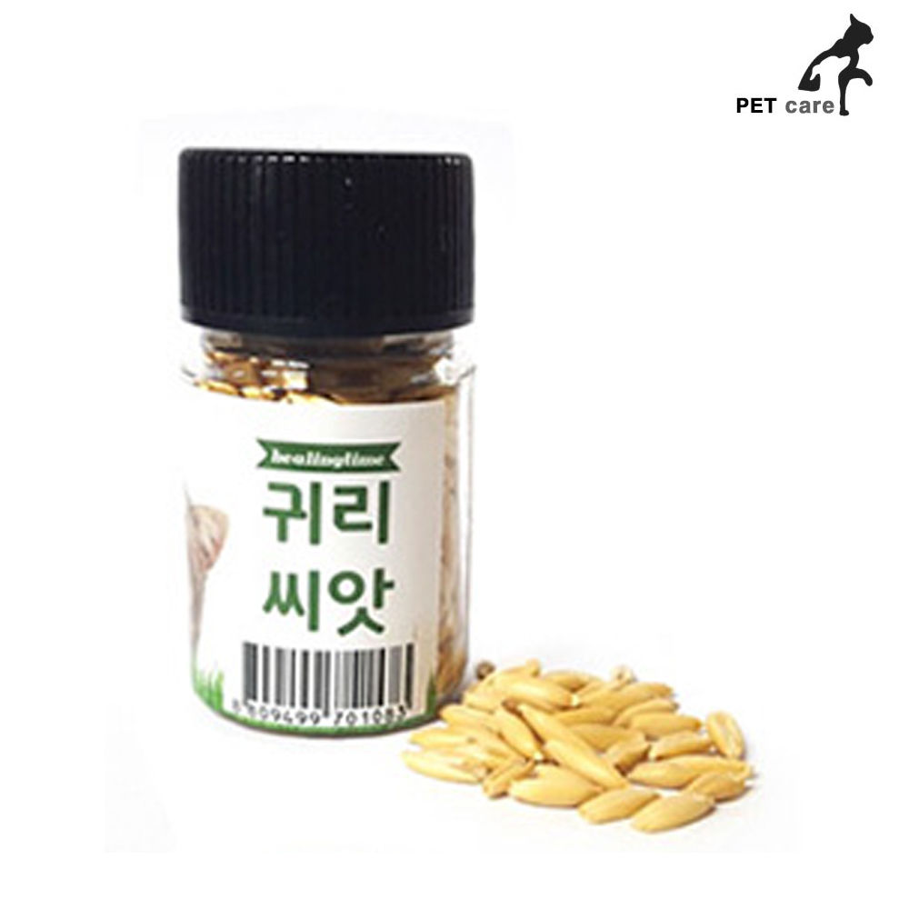 힐링타임 귀리씨앗 14g