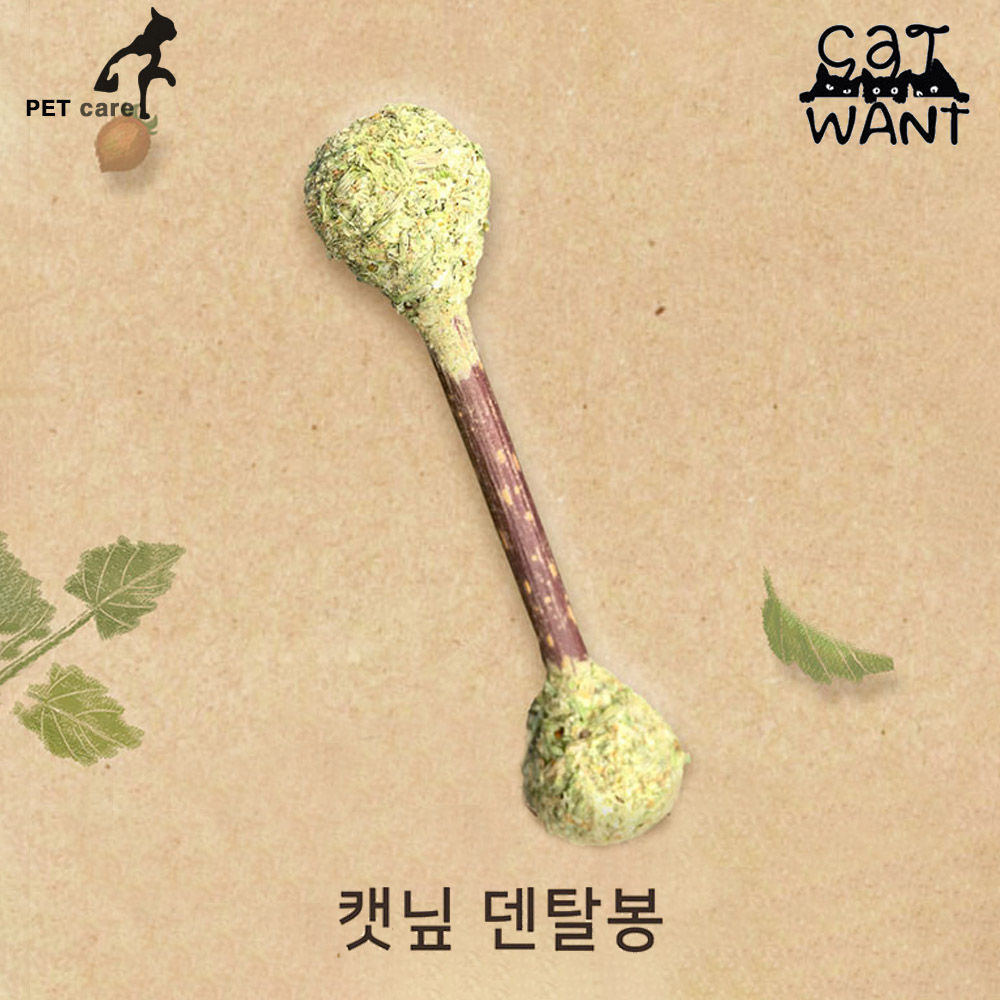 캣완트 캣닢 덴탈봉