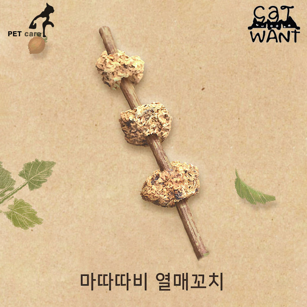 캣완트 마따따비 열매꼬치