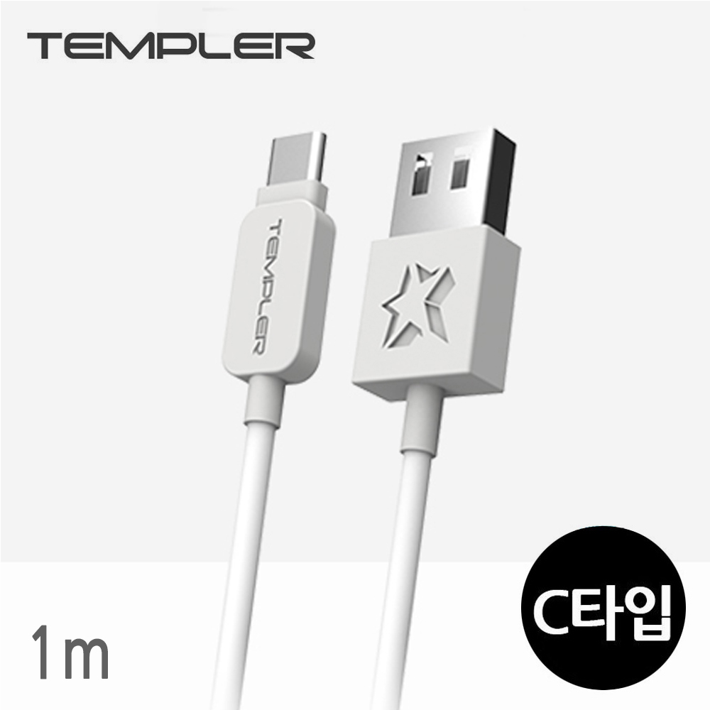 템플러 데이터 충전 케이블 1M (C타입) (TEM-D19-100)