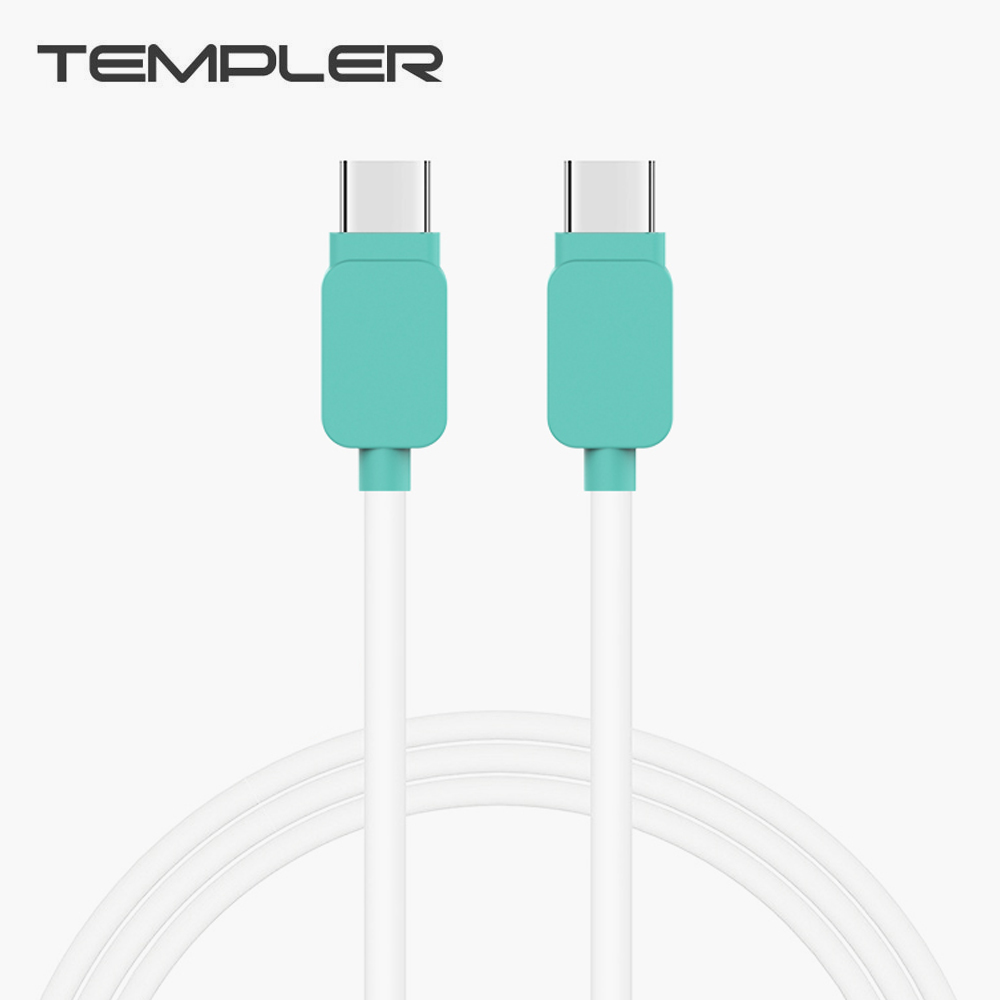 템플러 데이터 충전 케이블 PD 1.2M (C타입 to C타입) (TEM-CTC-100)