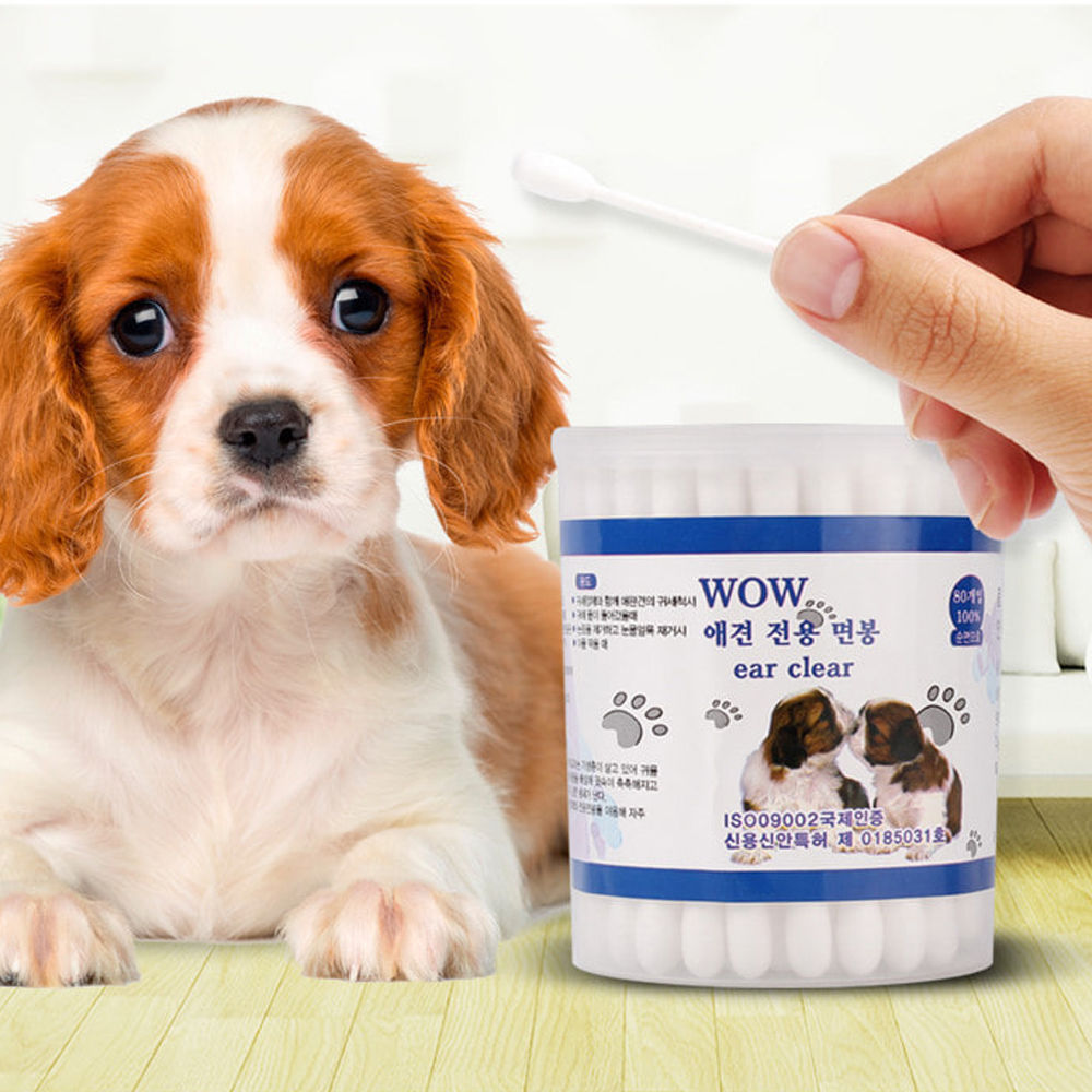 와우 애견전용 면봉 (80개입)