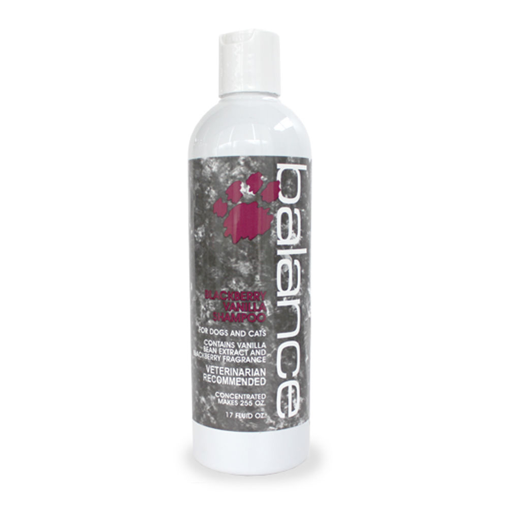 바란스 블랙베리 바닐라샴푸 503ml (보습) (강아지 샴푸)