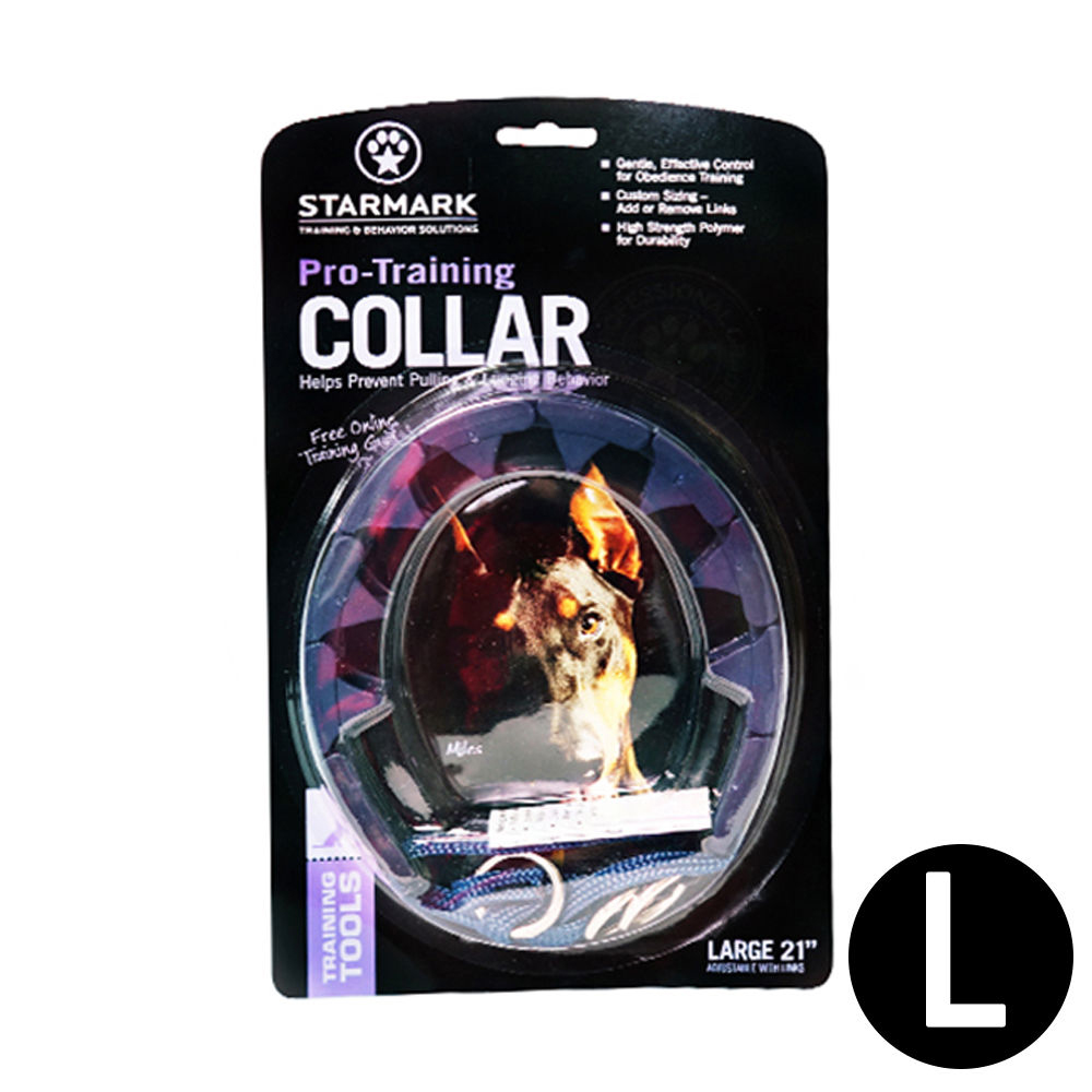 스타마크 복종목줄 (프로 트레이닝 칼라) (L) (강아지 목줄)