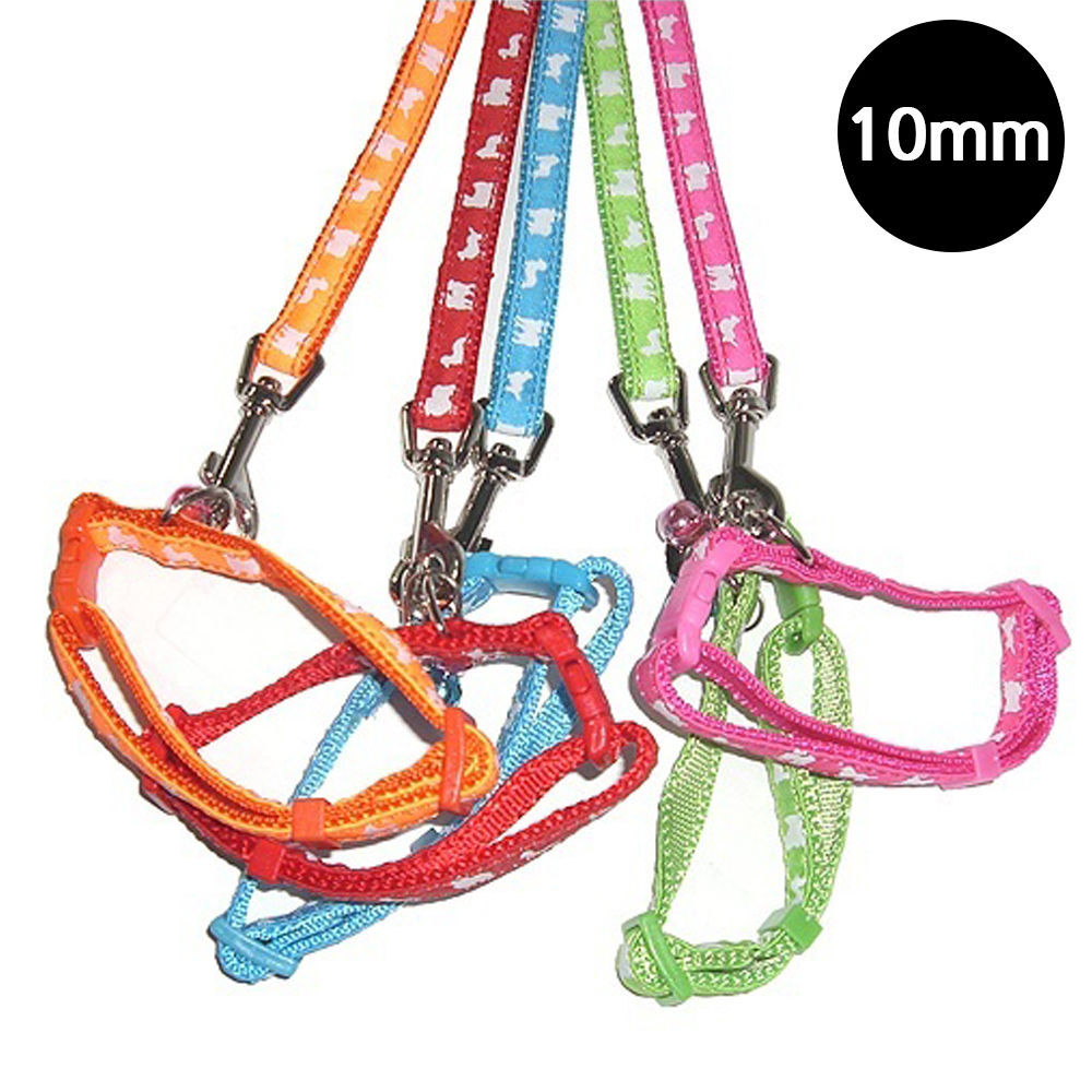 펫츠컴퍼니 파스텔 도그프린팅 고급 강아지 목줄세트 10mm (랜덤1개)