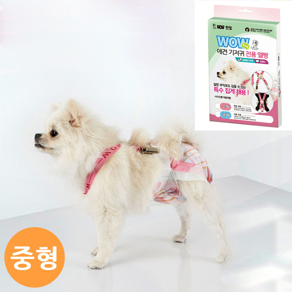 와우 애견기저귀 전용 멜빵 (중형) (강아지용)