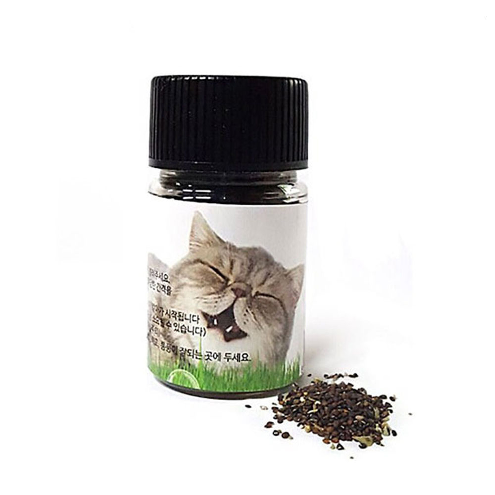 힐링타임 캣닢씨앗 10g (고양이 캣닢)