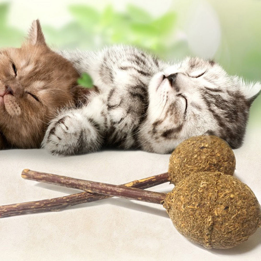 네이처펫 고양이 캣닢 마따따비 막대사탕